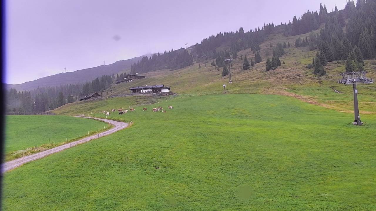 Archiv Foto Webcam Snowpark Flachauwinkl