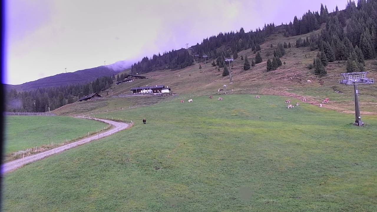 Archiv Foto Webcam Snowpark Flachauwinkl
