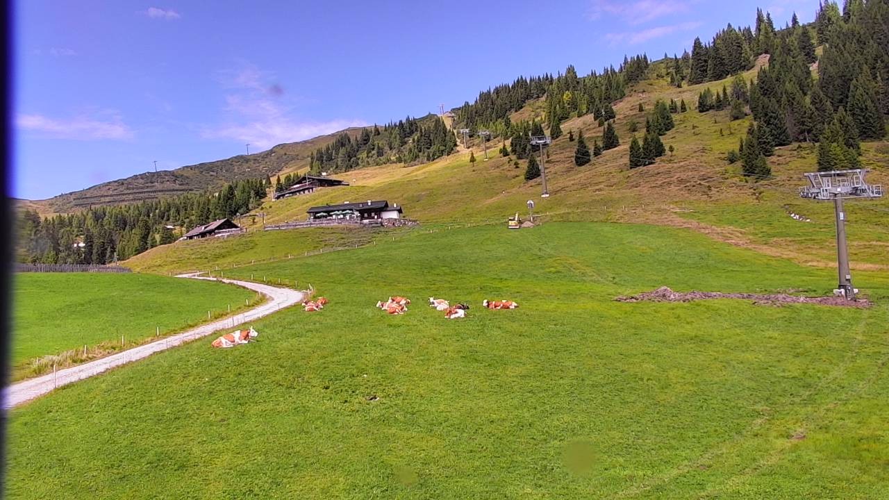 Archiv Foto Webcam Snowpark Flachauwinkl