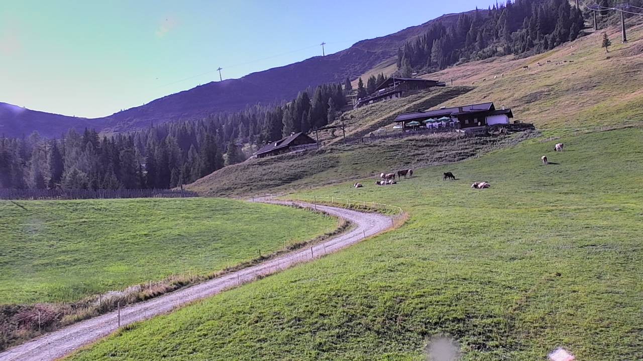 Archived image Webcam Snowpark Flachauwinkl