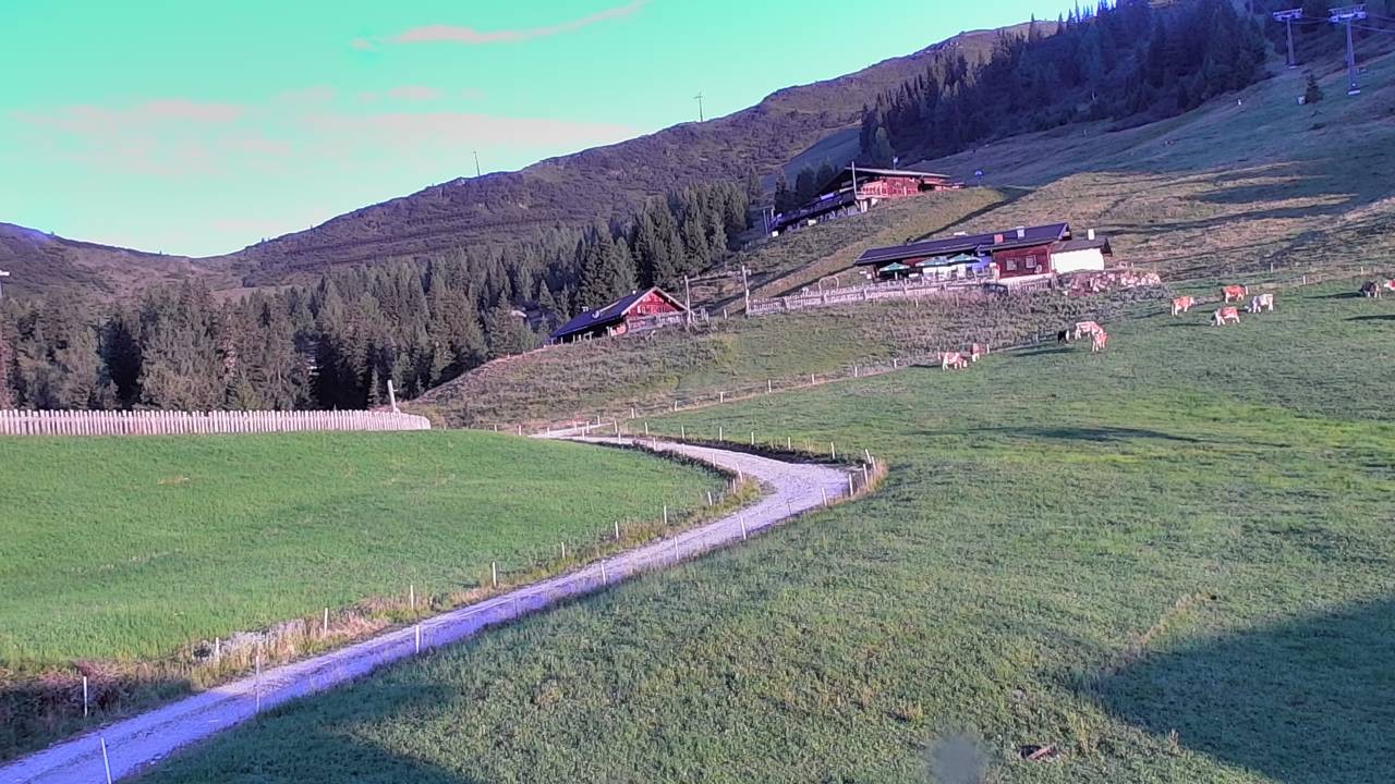 Archiv Foto Webcam Snowpark Flachauwinkl
