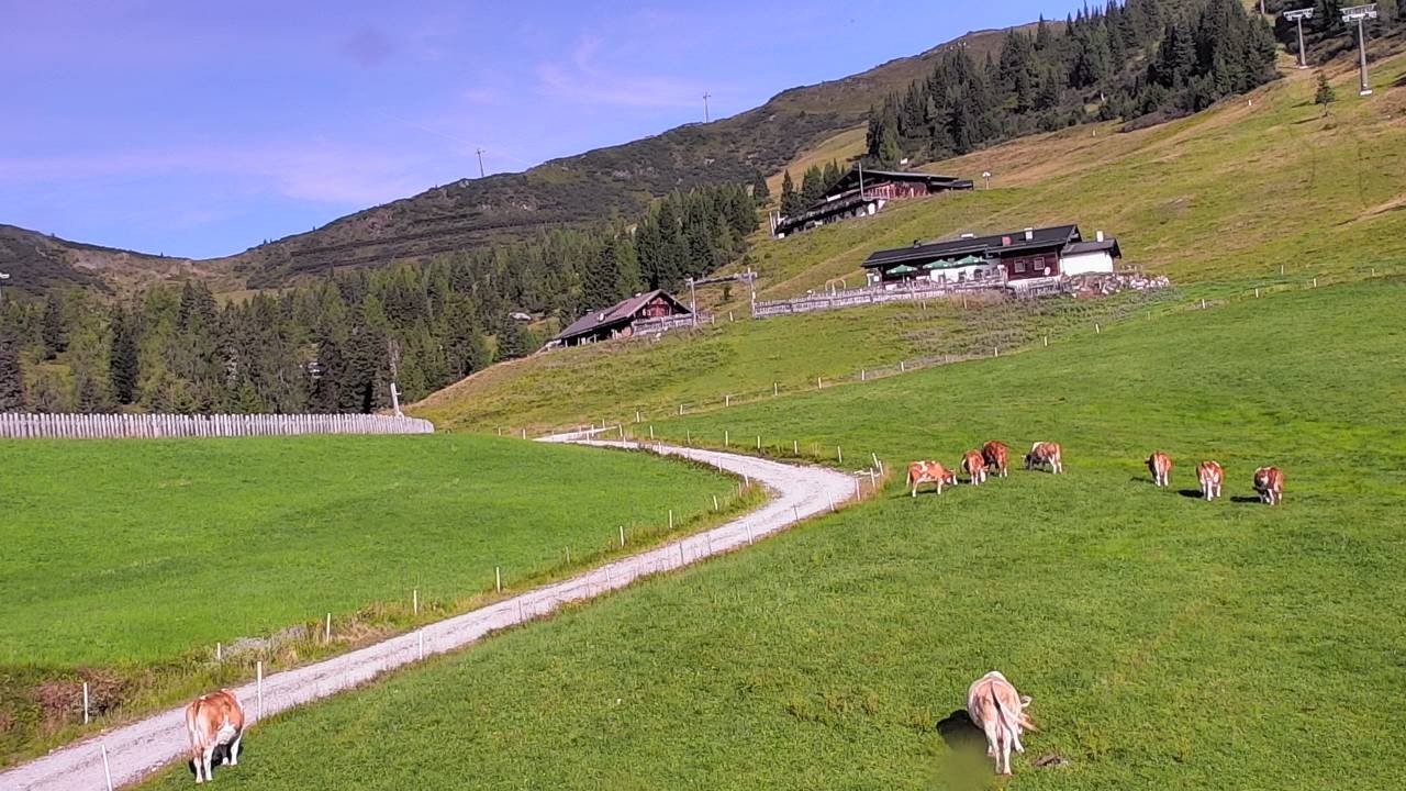 Archiv Foto Webcam Snowpark Flachauwinkl