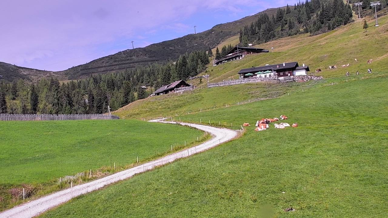 Archiv Foto Webcam Snowpark Flachauwinkl