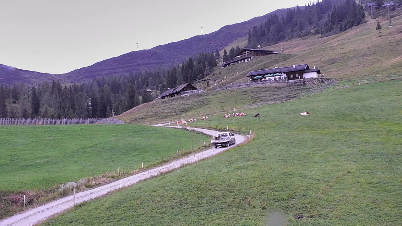 Archiv Foto Webcam Snowpark Flachauwinkl