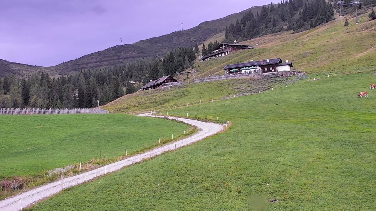 Archiv Foto Webcam Snowpark Flachauwinkl