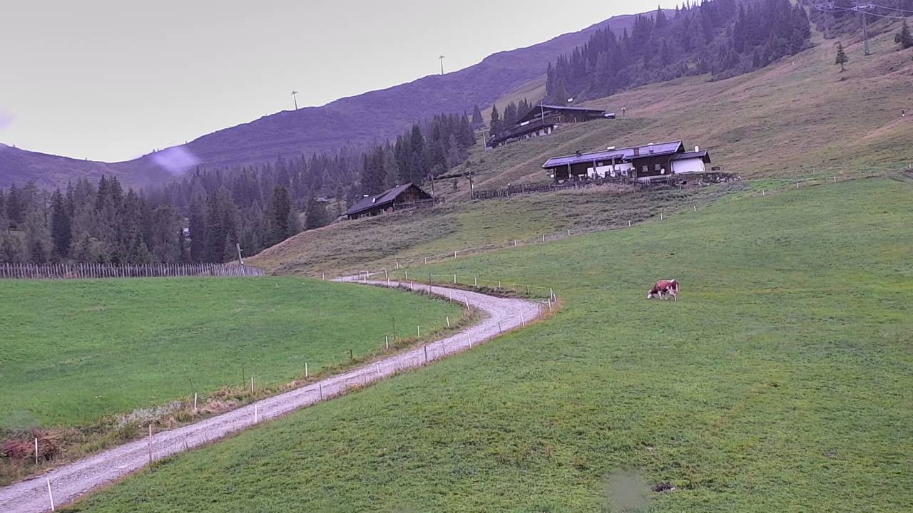 Archiv Foto Webcam Snowpark Flachauwinkl