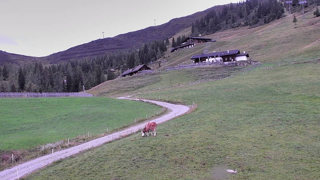 Archiv Foto Webcam Snowpark Flachauwinkl
