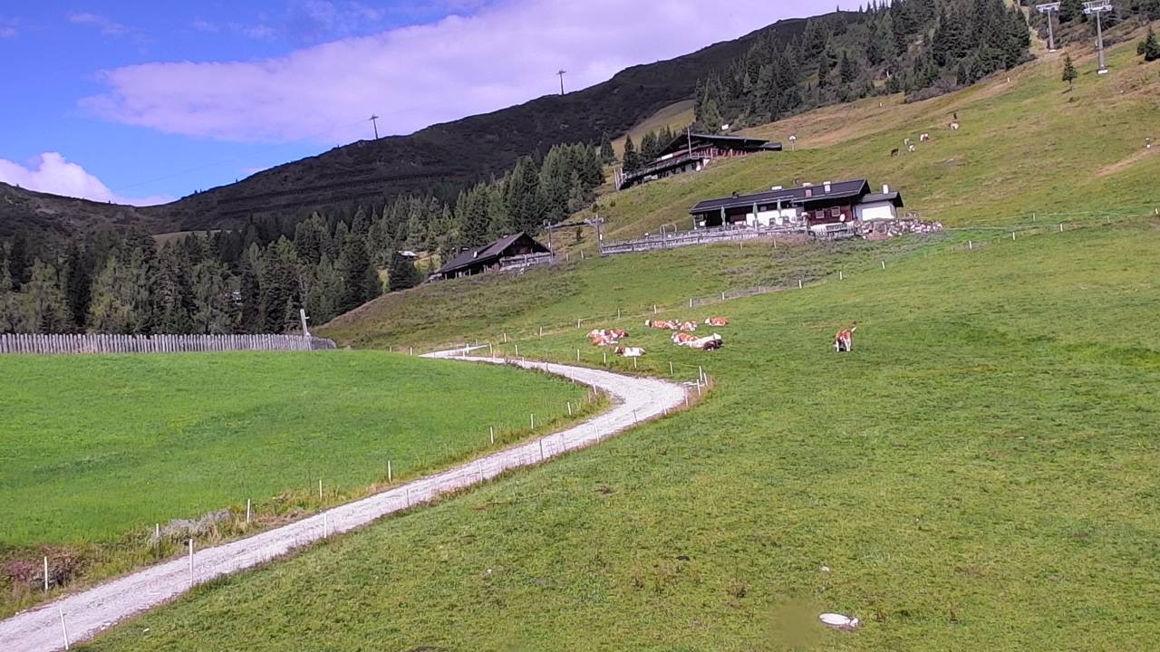 Archiv Foto Webcam Snowpark Flachauwinkl