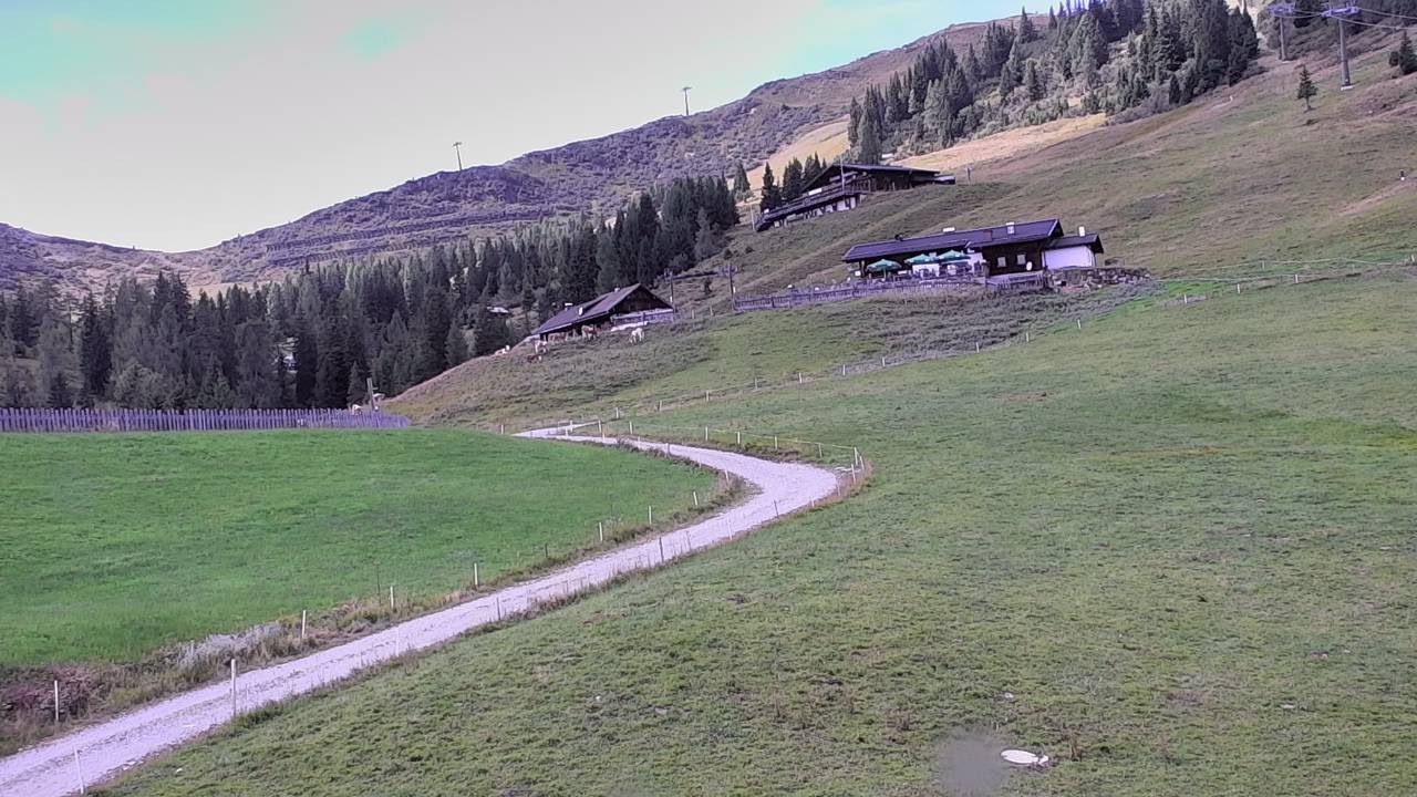 Archiv Foto Webcam Snowpark Flachauwinkl