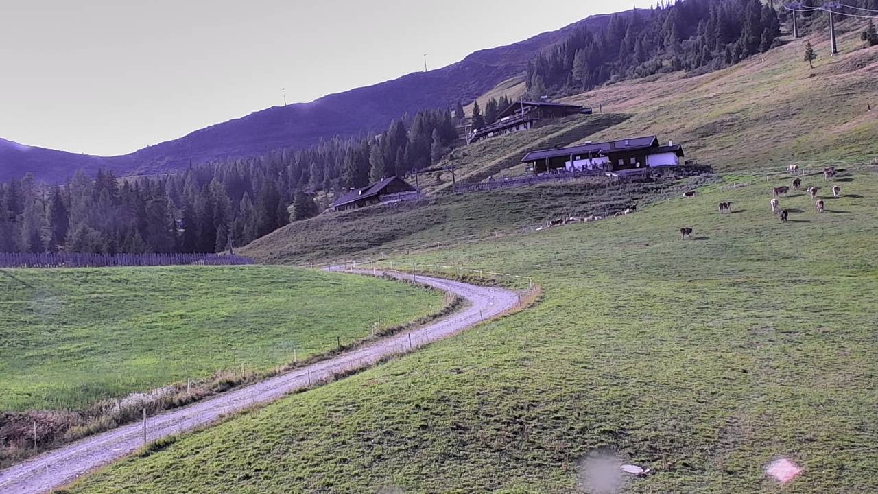 Archiv Foto Webcam Snowpark Flachauwinkl
