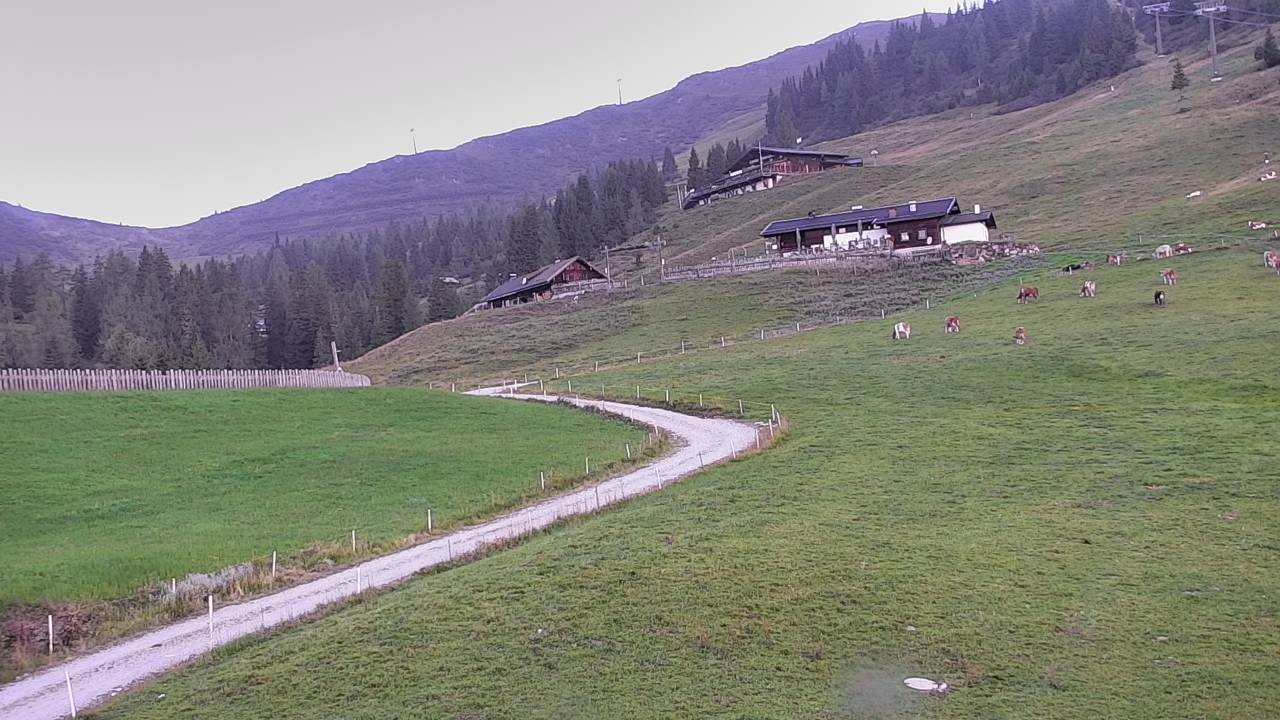 Archived image Webcam Snowpark Flachauwinkl