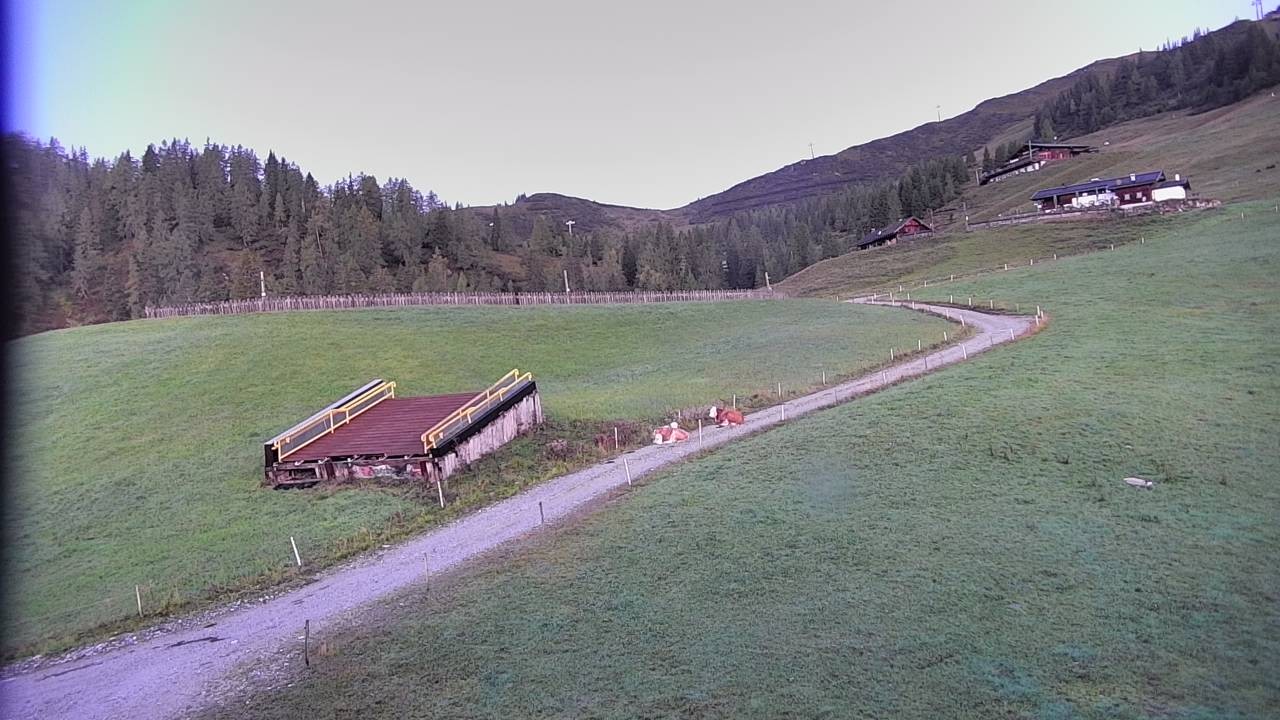 Archiv Foto Webcam Snowpark Flachauwinkl