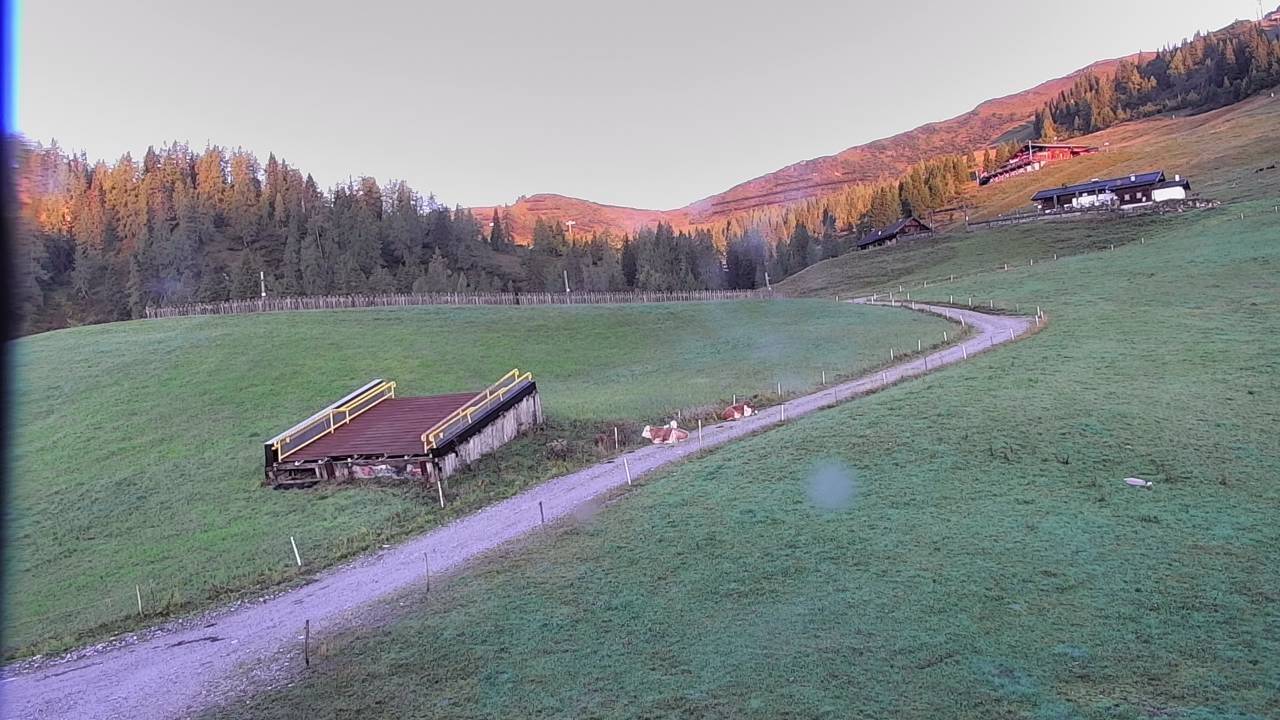 Archiv Foto Webcam Snowpark Flachauwinkl