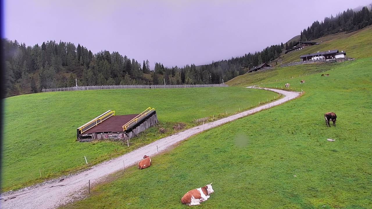 Archiv Foto Webcam Snowpark Flachauwinkl