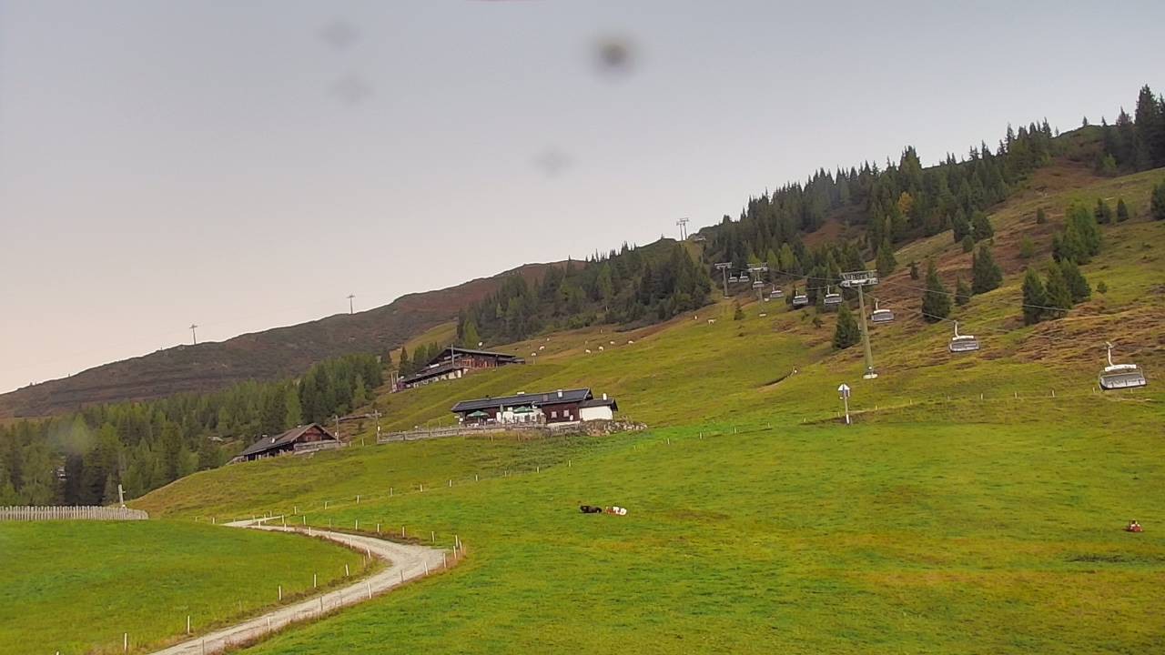 Archiv Foto Webcam Snowpark Flachauwinkl