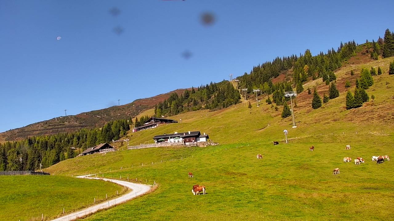 Archiv Foto Webcam Snowpark Flachauwinkl