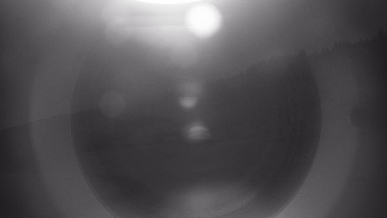 Archiv Foto Webcam Snowpark Flachauwinkl