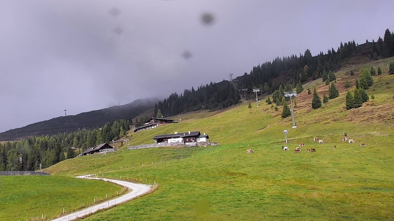 Archiv Foto Webcam Snowpark Flachauwinkl