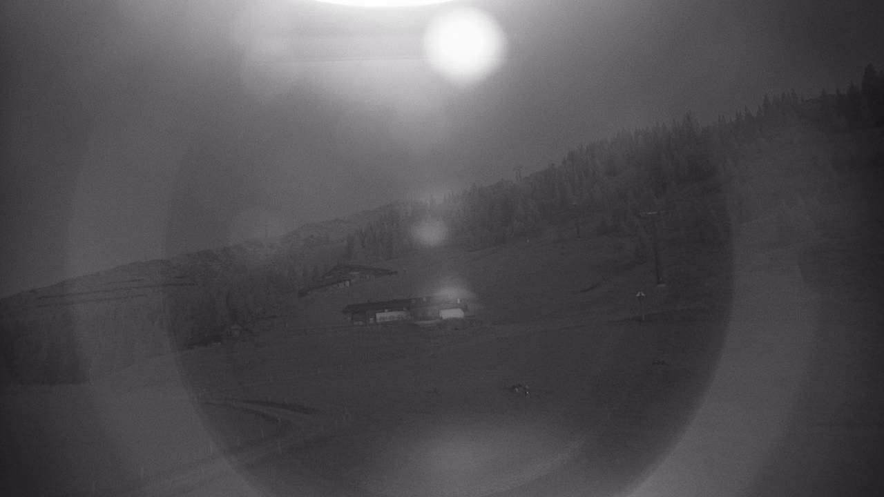 Archiv Foto Webcam Snowpark Flachauwinkl
