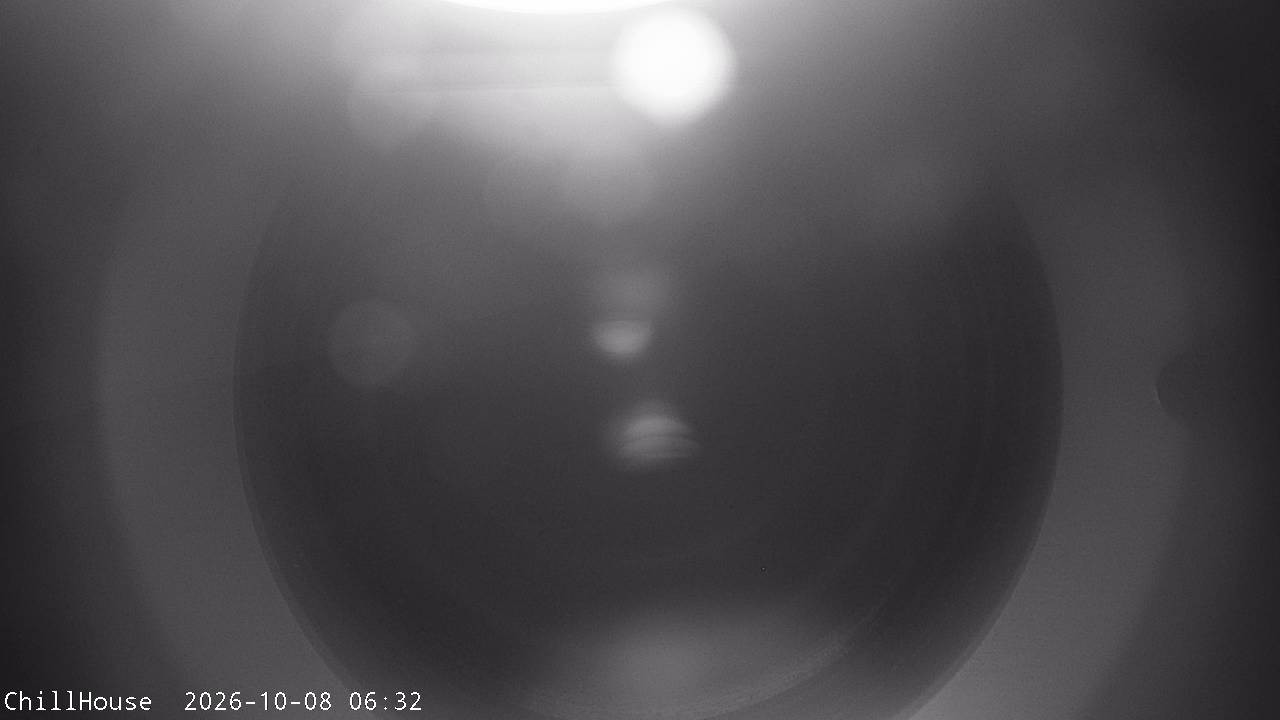 Archived image Webcam Snowpark Flachauwinkl