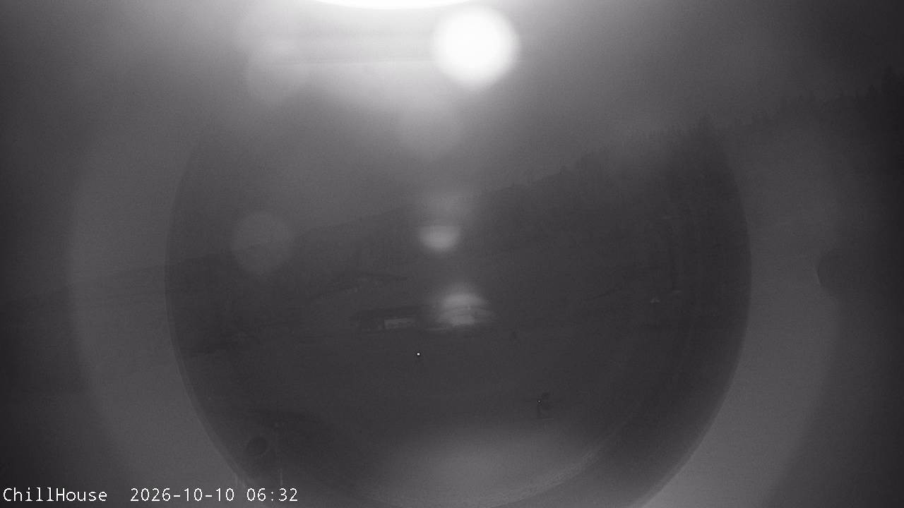Archiv Foto Webcam Snowpark Flachauwinkl