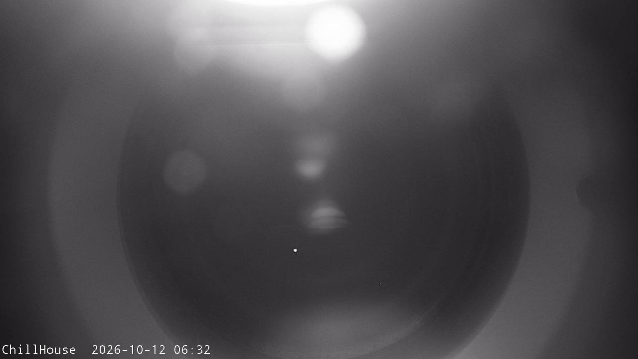 Archived image Webcam Snowpark Flachauwinkl
