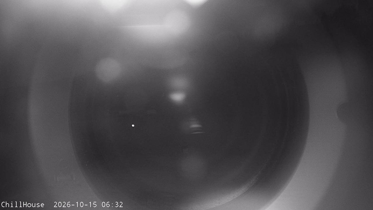 Archiv Foto Webcam Snowpark Flachauwinkl
