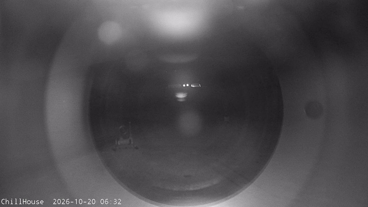Archiv Foto Webcam Snowpark Flachauwinkl