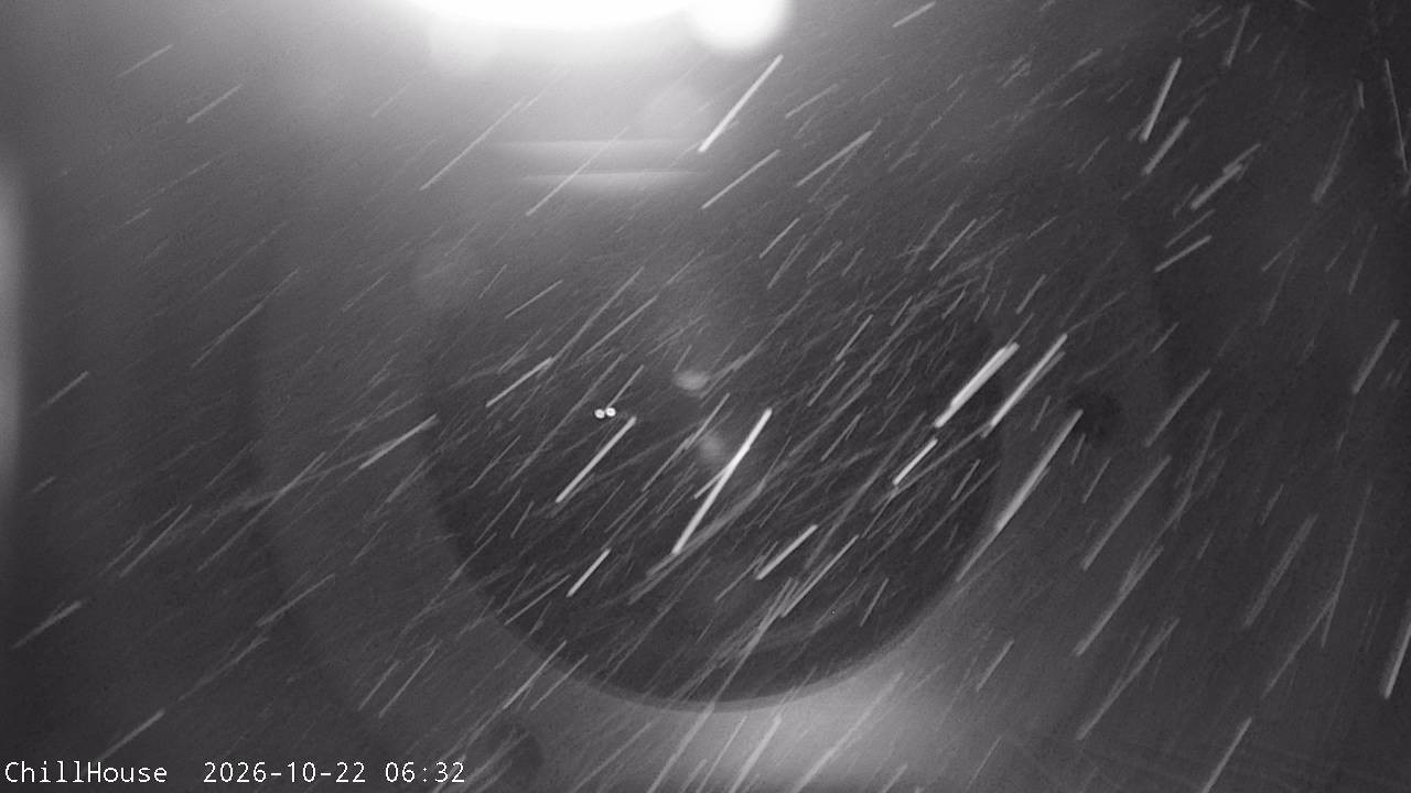 Archiv Foto Webcam Snowpark Flachauwinkl