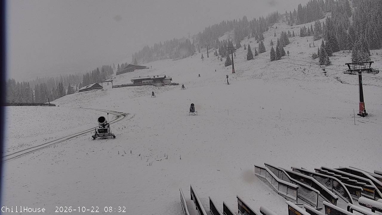 Archiv Foto Webcam Snowpark Flachauwinkl