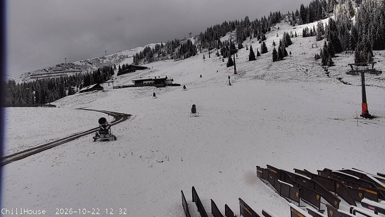 Archiv Foto Webcam Snowpark Flachauwinkl