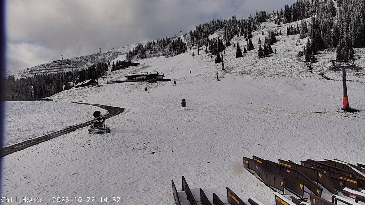 Archiv Foto Webcam Snowpark Flachauwinkl