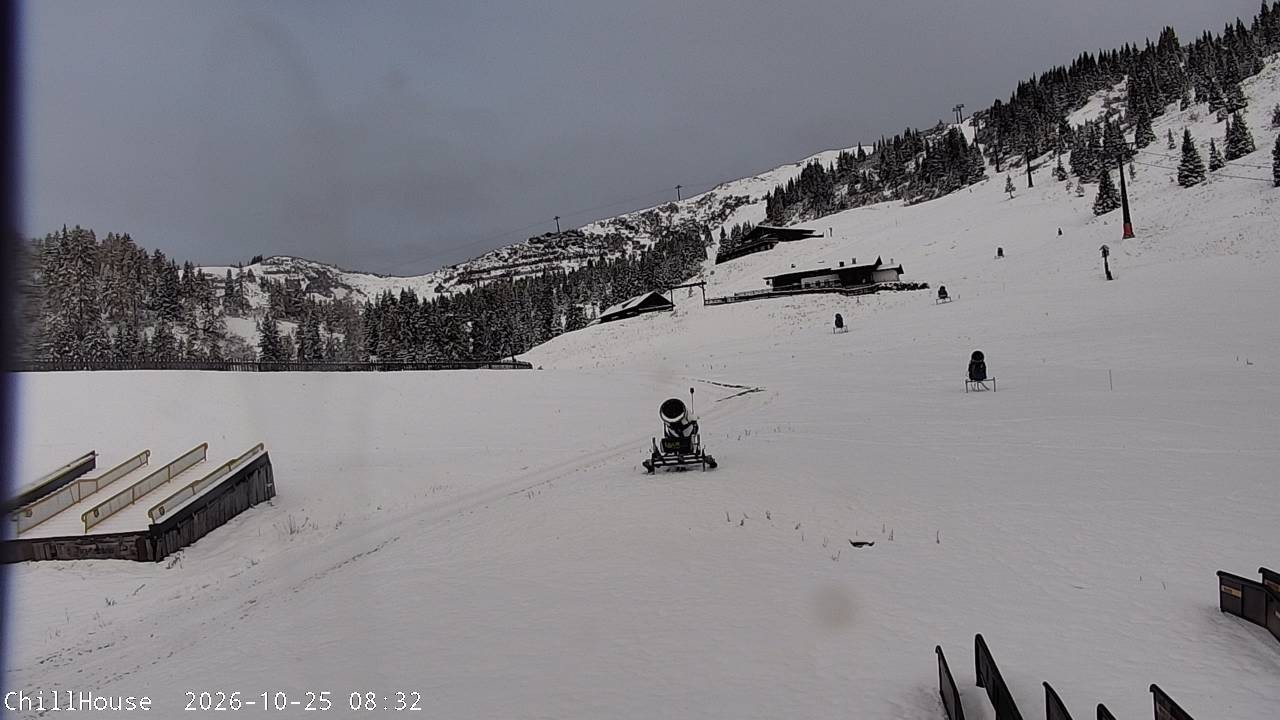 Archiv Foto Webcam Snowpark Flachauwinkl