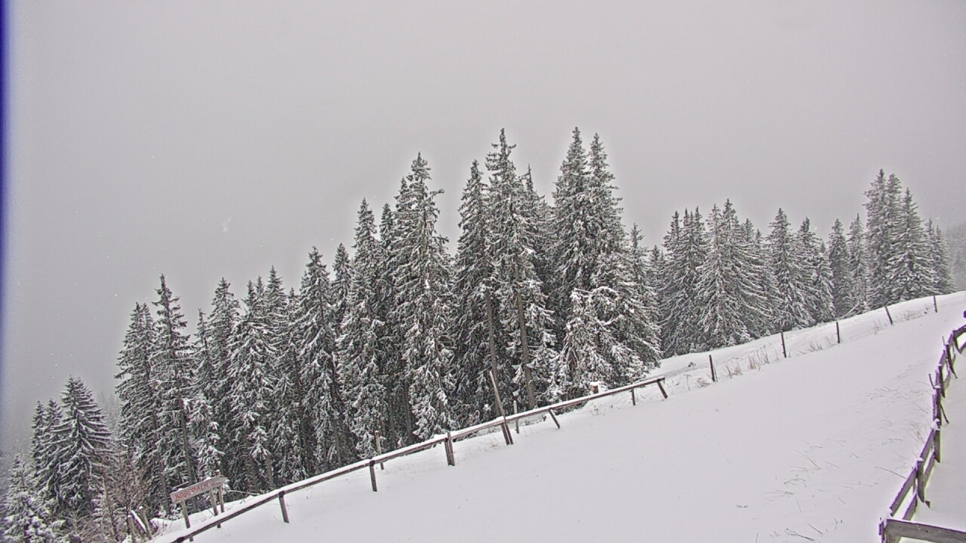 Archiv Foto Webcam Ruhpolding: Bergstation am Unternberg