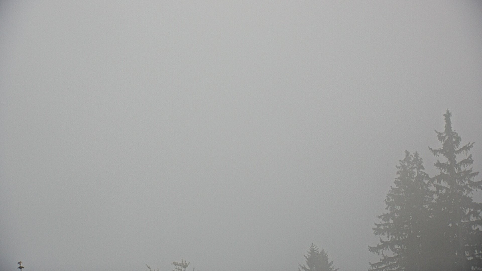 Archiv Foto Webcam Ruhpolding: Bergstation am Unternberg