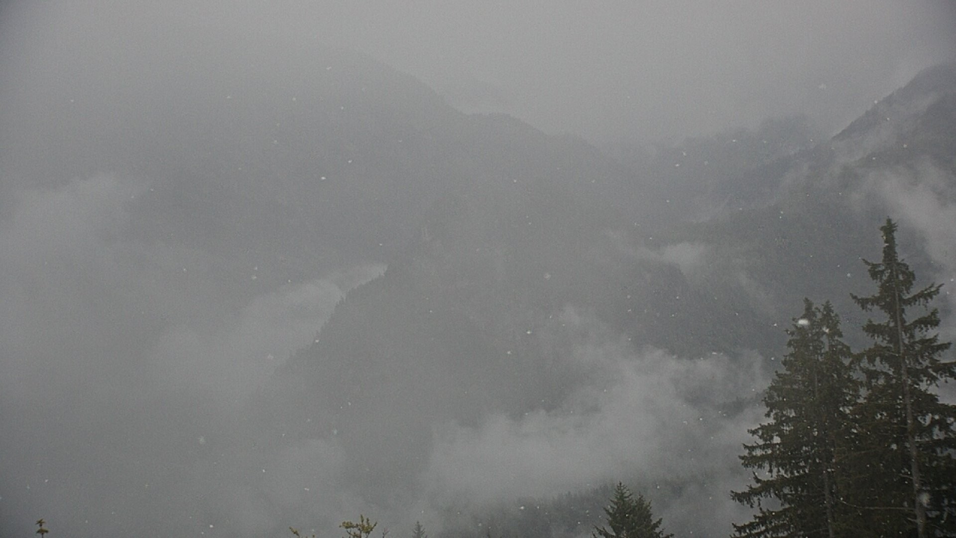 Archiv Foto Webcam Ruhpolding: Bergstation am Unternberg