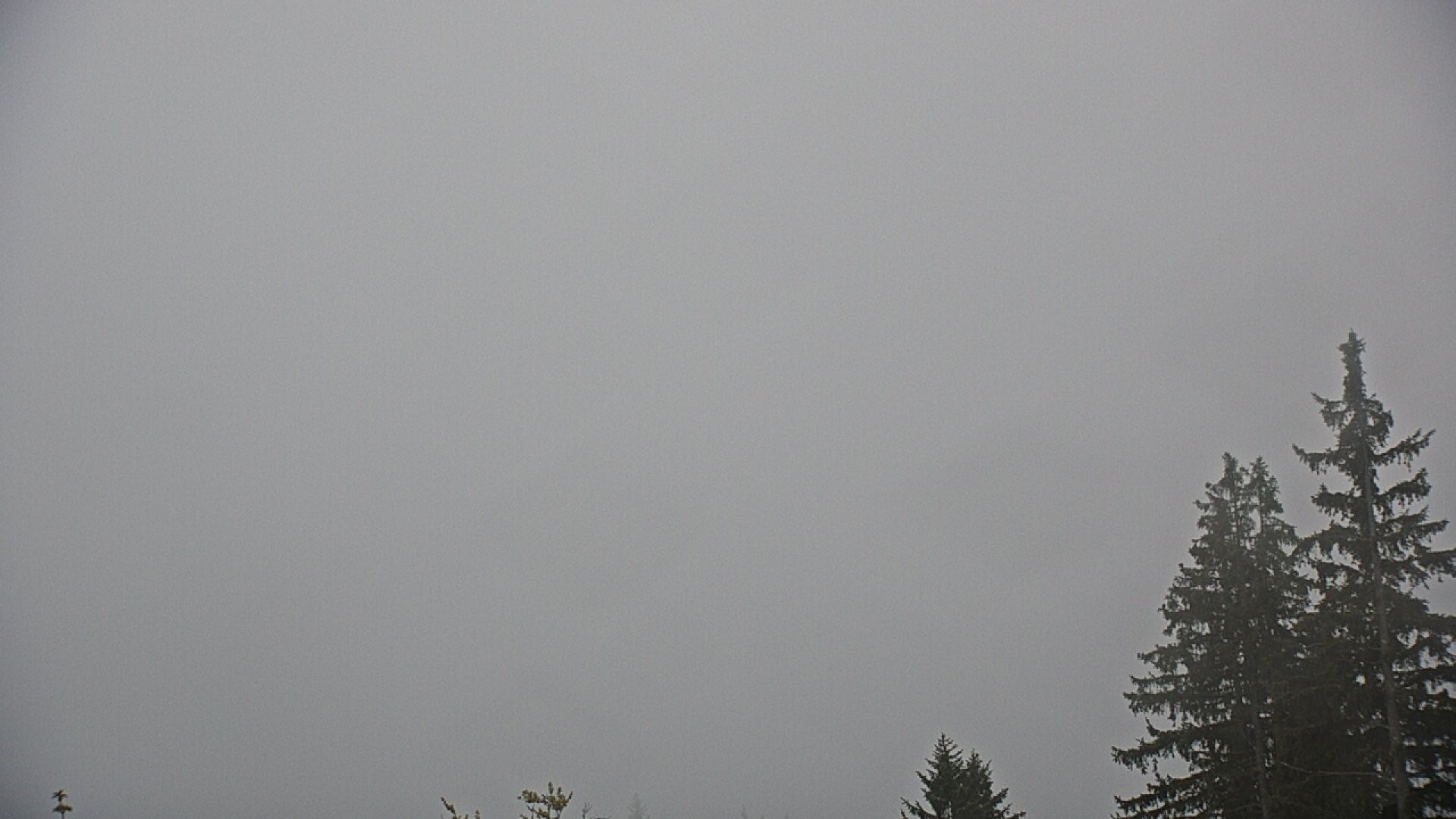 Archiv Foto Webcam Ruhpolding: Bergstation am Unternberg