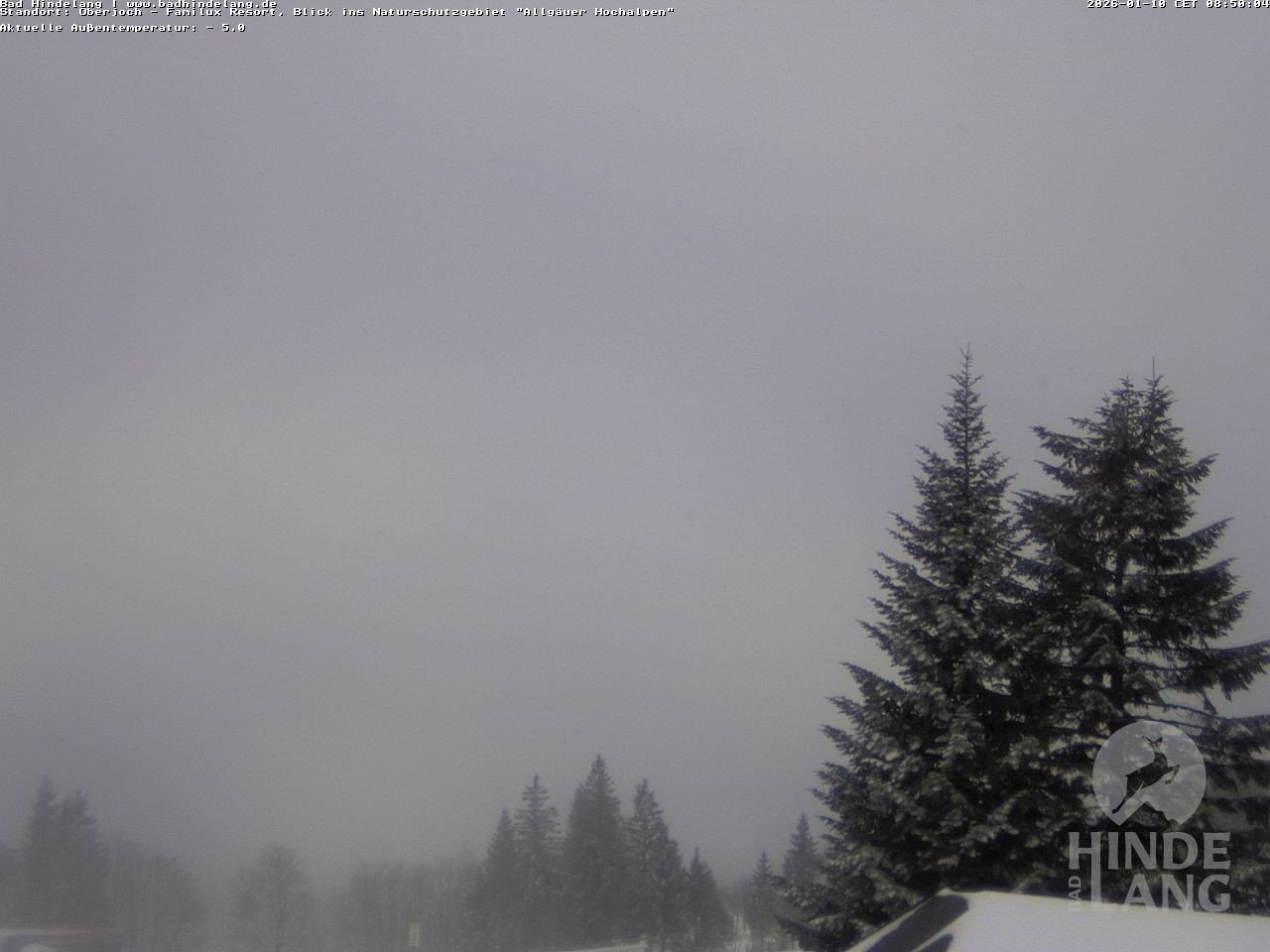 Archiv Foto Webcam Naturschutzgebiet "Allgäuer Hochalpen" vom Kinderhotel Oberjoch aus gesehen