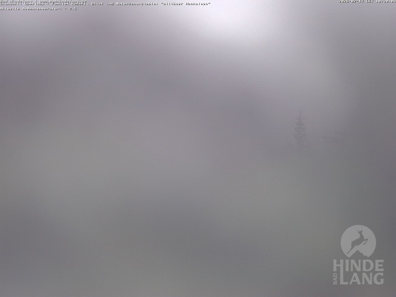 Archiv Foto Webcam Naturschutzgebiet "Allgäuer Hochalpen" vom Kinderhotel Oberjoch aus gesehen