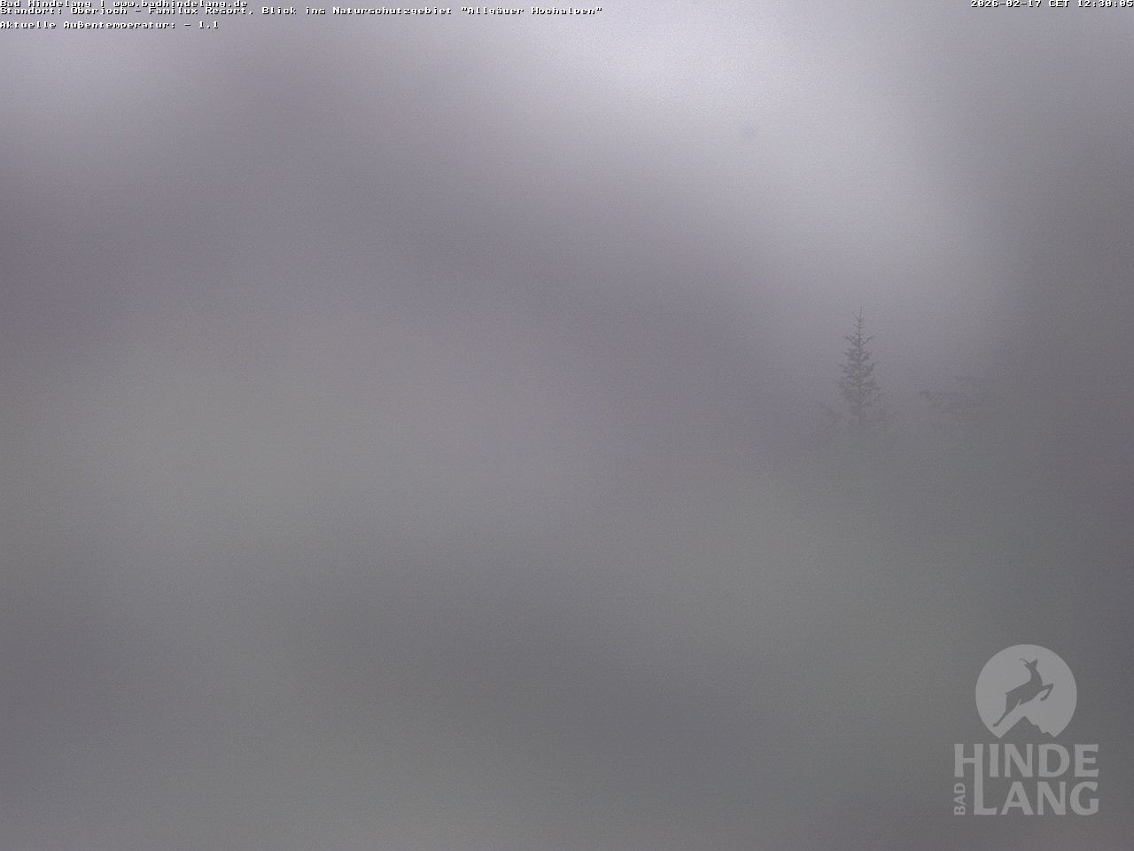 Archiv Foto Webcam Naturschutzgebiet "Allgäuer Hochalpen" vom Kinderhotel Oberjoch aus gesehen