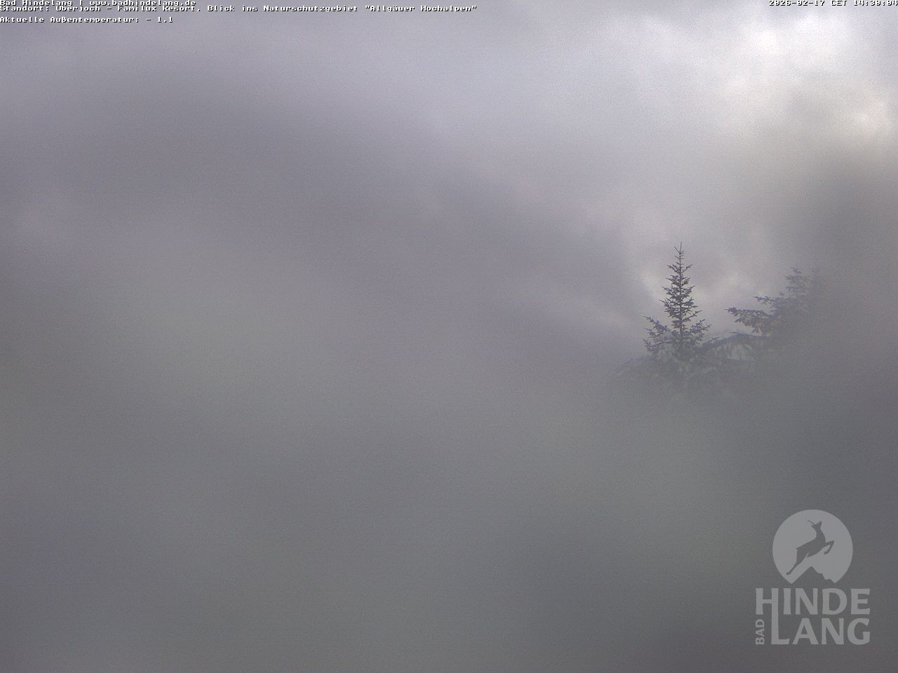 Archiv Foto Webcam Naturschutzgebiet "Allgäuer Hochalpen" vom Kinderhotel Oberjoch aus gesehen