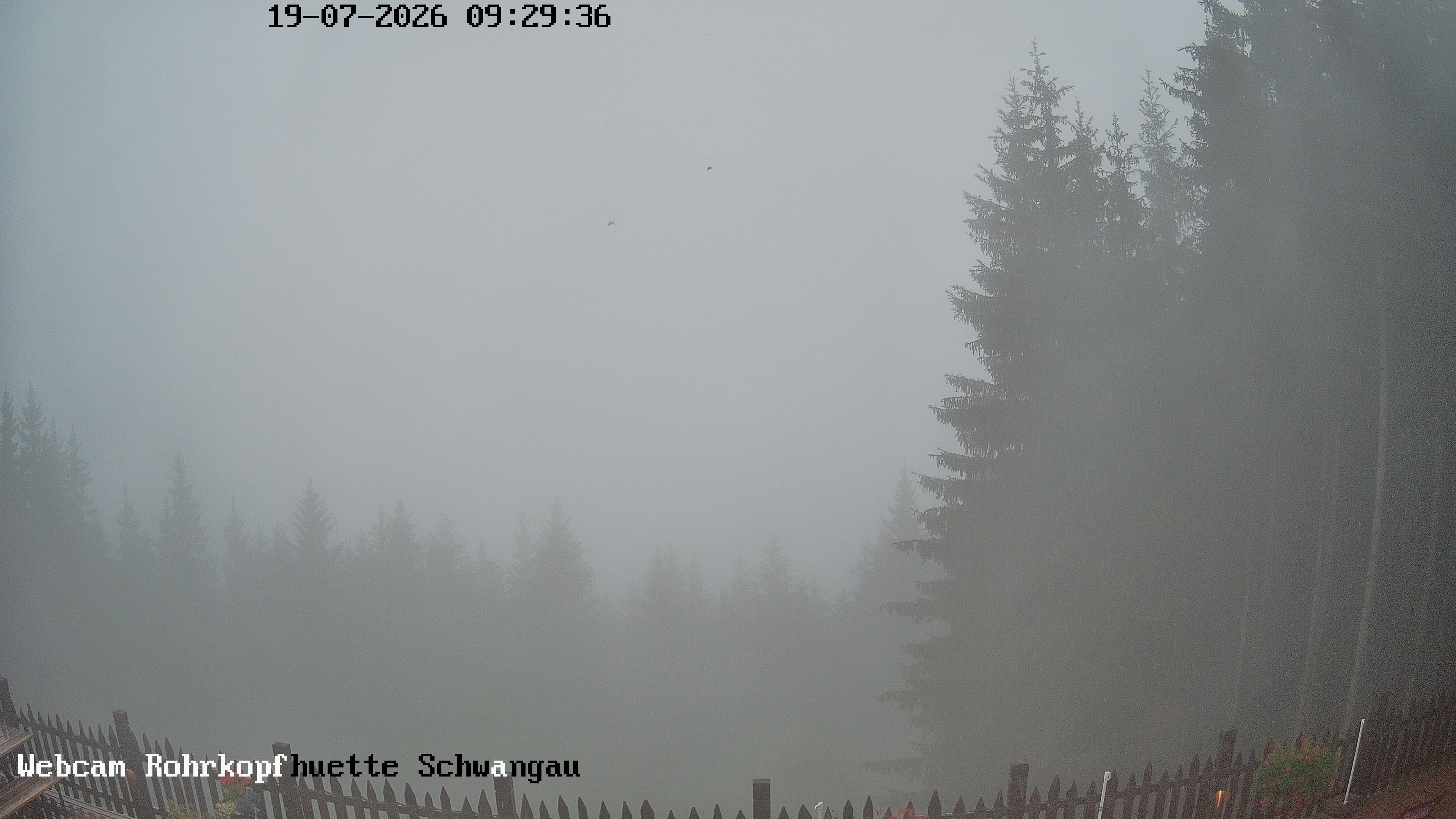 Archiv Foto Webcam Schwangau: Blick von der Rohrkopfhütte ins Tal