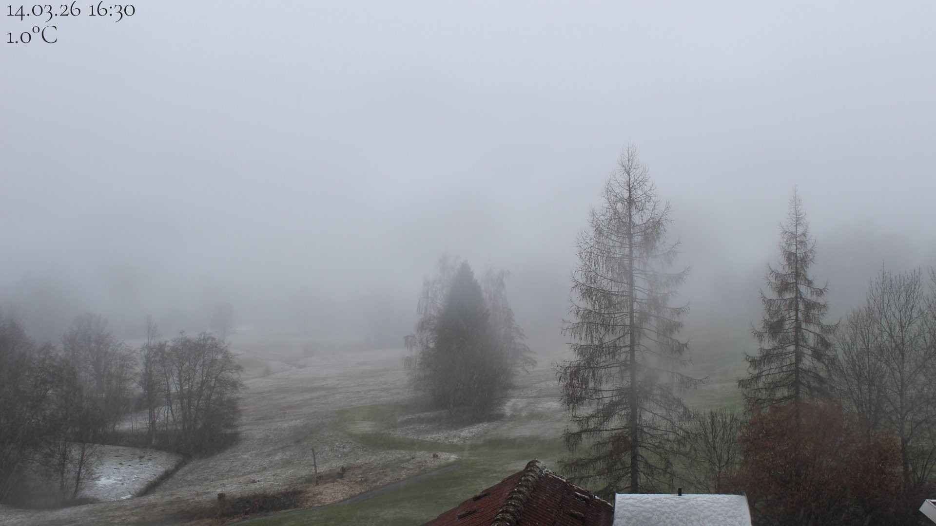 Archiv Foto Webcam Biohotel Schratt in Oberstaufen - Blick Golfplatz