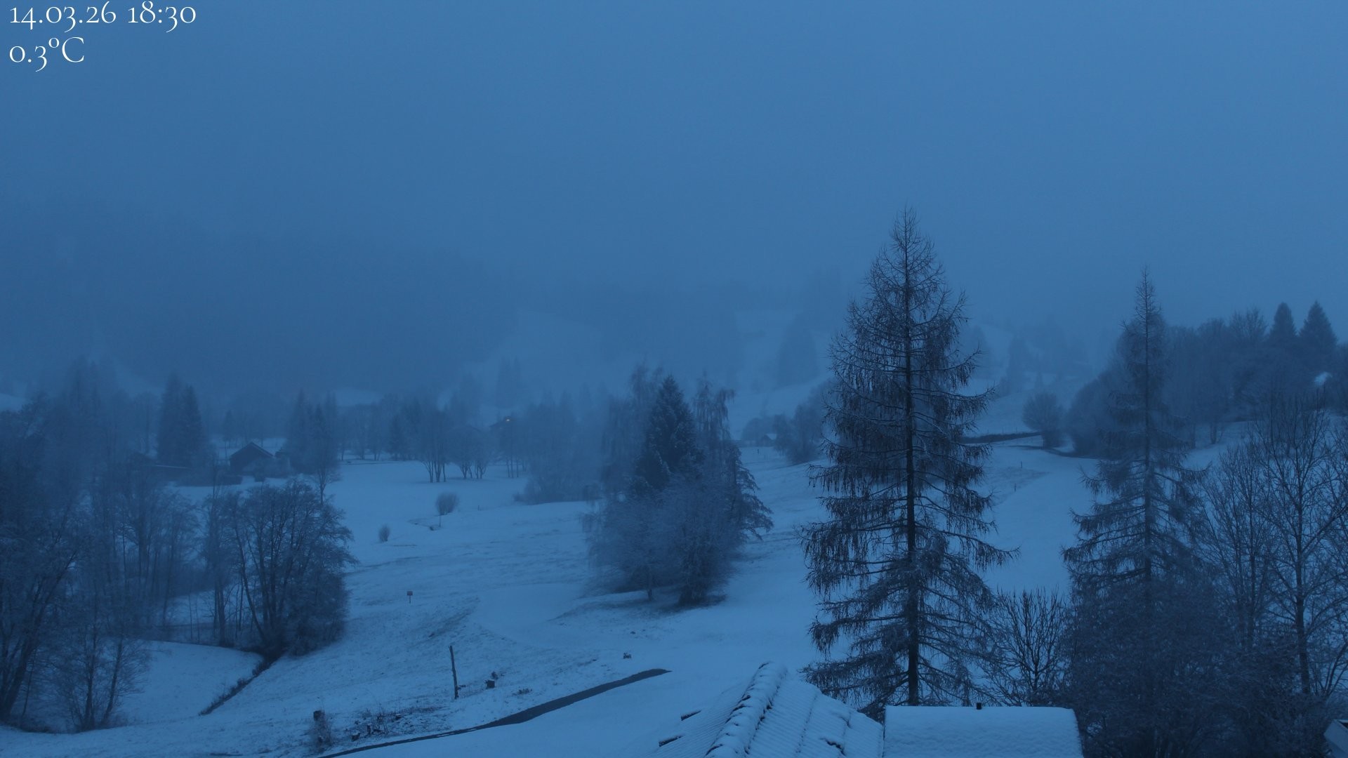 Archiv Foto Webcam Biohotel Schratt in Oberstaufen - Blick Golfplatz