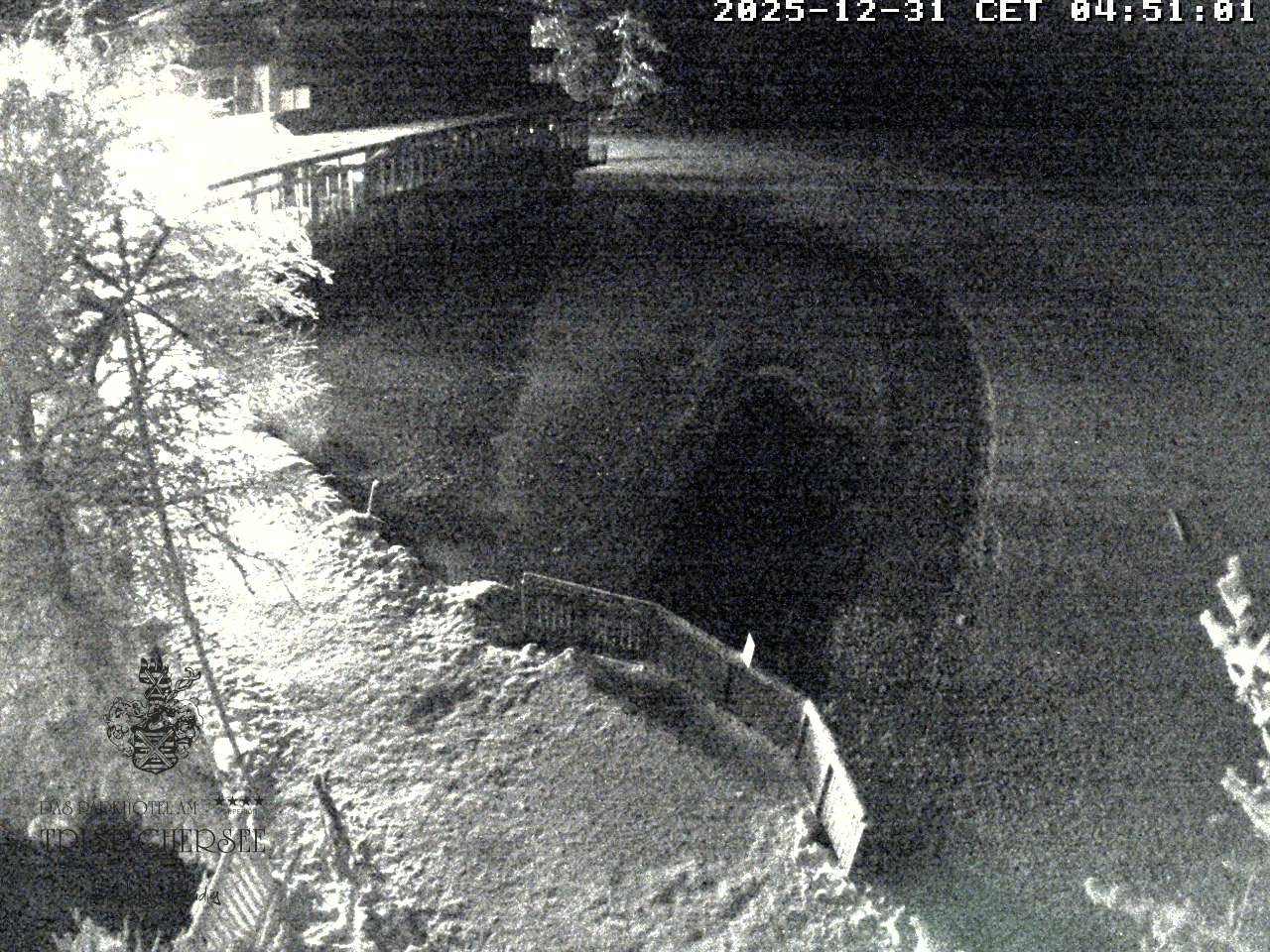Archiv Foto Webcam Blick über den Tristachersee