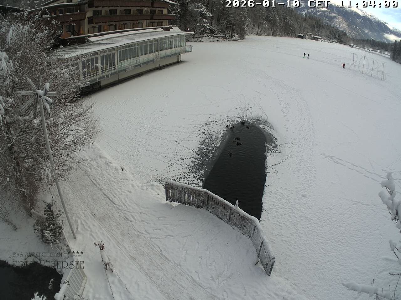 Archiv Foto Webcam Blick über den Tristachersee