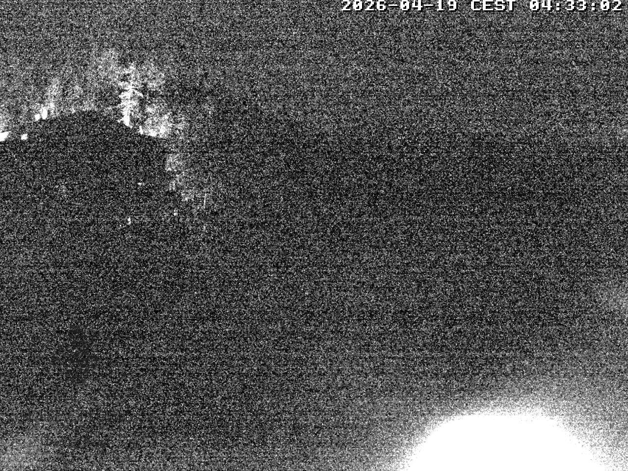 Archiv Foto Webcam Blick über den Tristachersee