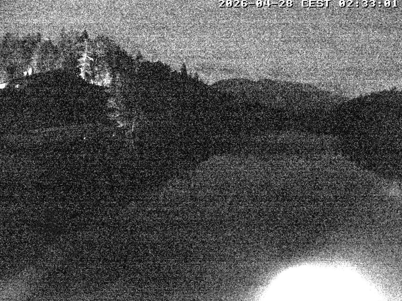 Archiv Foto Webcam Blick über den Tristachersee