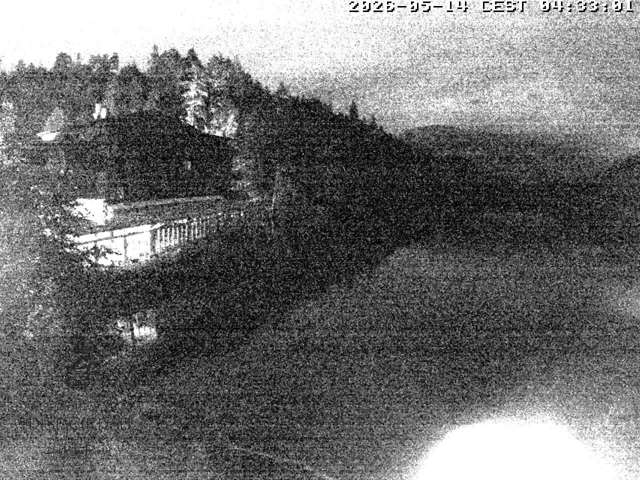 Archiv Foto Webcam Blick über den Tristachersee