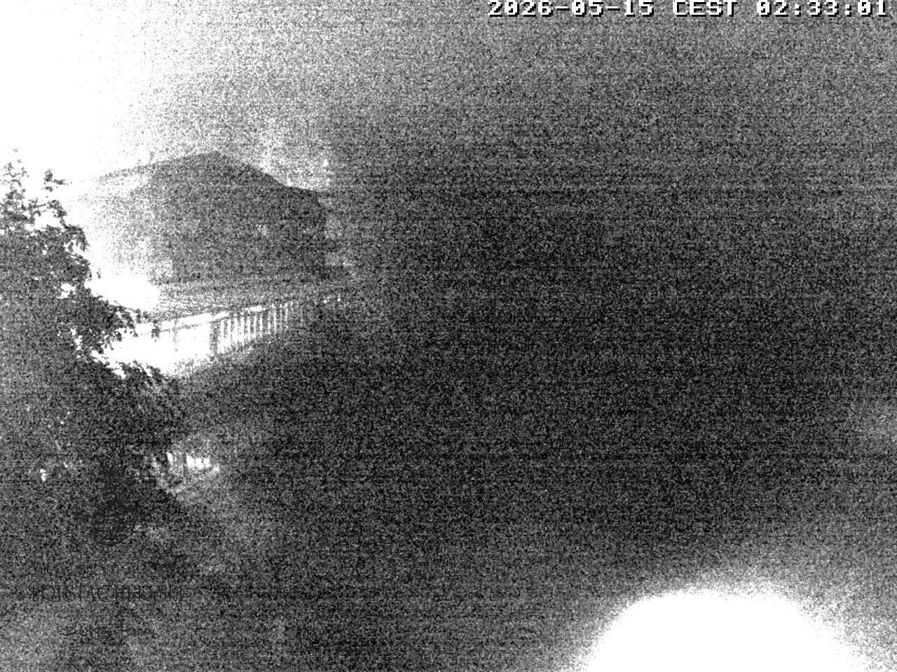 Archiv Foto Webcam Blick über den Tristachersee